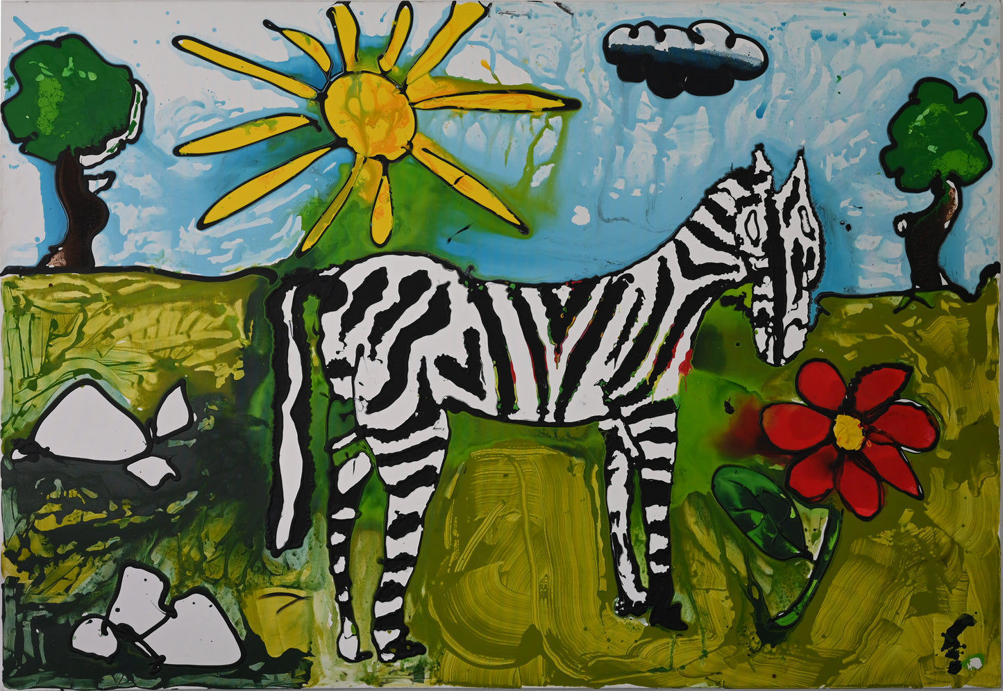 Zebra